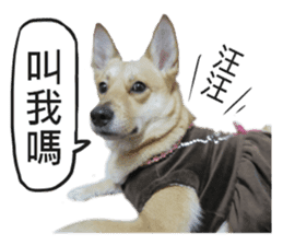 Happy Dogs Club:Real sticker #13845336
