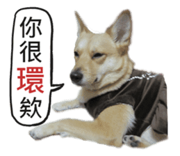 Happy Dogs Club:Real sticker #13845337