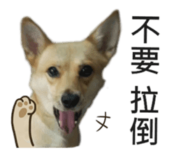 Happy Dogs Club:Real sticker #13845338