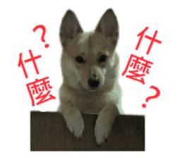 Happy Dogs Club:Real sticker #13845340