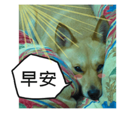 Happy Dogs Club:Real sticker #13845342