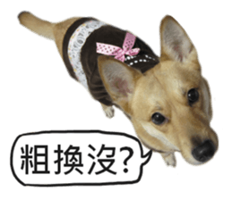 Happy Dogs Club:Real sticker #13845343