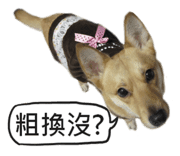 Happy Dogs Club:Real sticker #13845343