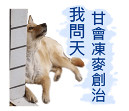 Happy Dogs Club:Real sticker #13845347