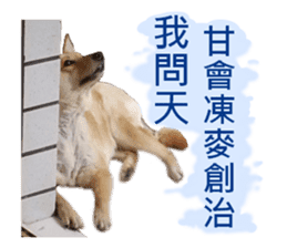 Happy Dogs Club:Real sticker #13845347