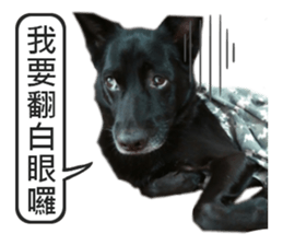 Happy Dogs Club:Real sticker #13845349