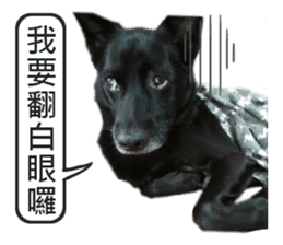 Happy Dogs Club:Real sticker #13845349