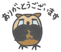 OWL. sticker #13846803