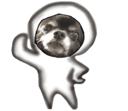 ROKU is a smart dog. 3 sticker #13846992