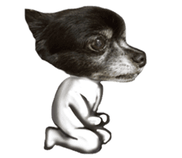 ROKU is a smart dog. 3 sticker #13846993