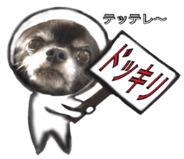 ROKU is a smart dog. 3 sticker #13846995