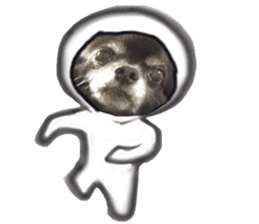ROKU is a smart dog. 3 sticker #13846996