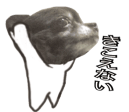 ROKU is a smart dog. 3 sticker #13846997