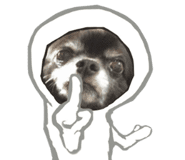 ROKU is a smart dog. 3 sticker #13847001