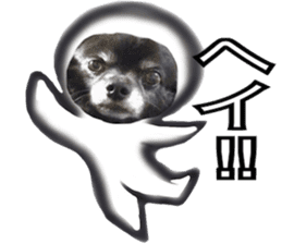ROKU is a smart dog. 3 sticker #13847003