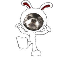 ROKU is a smart dog. 3 sticker #13847006