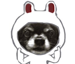 ROKU is a smart dog. 3 sticker #13847007
