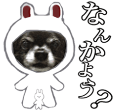 ROKU is a smart dog. 3 sticker #13847009