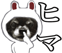 ROKU is a smart dog. 3 sticker #13847010