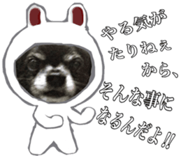 ROKU is a smart dog. 3 sticker #13847015