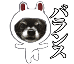 ROKU is a smart dog. 3 sticker #13847016