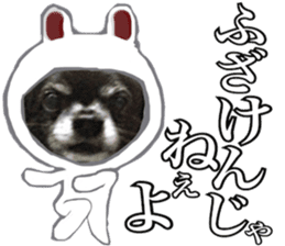 ROKU is a smart dog. 3 sticker #13847018