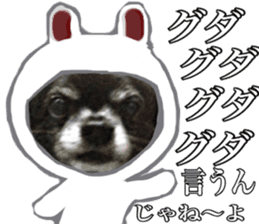 ROKU is a smart dog. 3 sticker #13847019