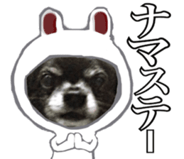 ROKU is a smart dog. 3 sticker #13847021