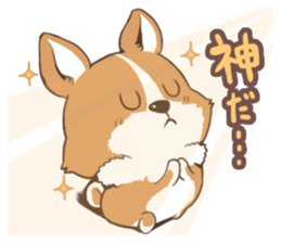 Corgi with dogs Sticker sticker #13847142