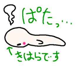 Name sticker used by Kihara sticker #13847906