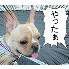 French bulldog KOMUGI Sticker 2