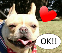 French bulldog KOMUGI Sticker 2 sticker #13848518
