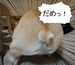 French bulldog KOMUGI Sticker 2 sticker #13848519