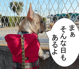French bulldog KOMUGI Sticker 2 sticker #13848520