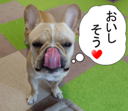 French bulldog KOMUGI Sticker 2 sticker #13848521