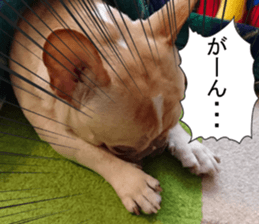 French bulldog KOMUGI Sticker 2 sticker #13848523