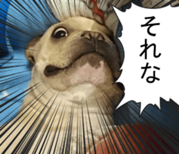 French bulldog KOMUGI Sticker 2 sticker #13848524