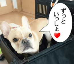 French bulldog KOMUGI Sticker 2 sticker #13848528
