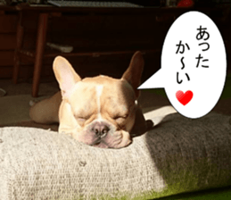 French bulldog KOMUGI Sticker 2 sticker #13848529