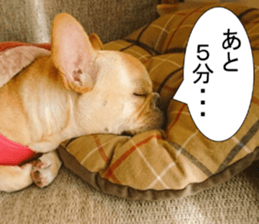 French bulldog KOMUGI Sticker 2 sticker #13848531