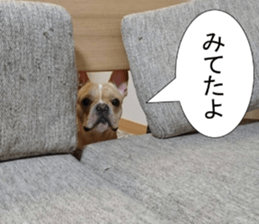 French bulldog KOMUGI Sticker 2 sticker #13848532