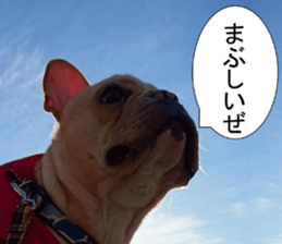 French bulldog KOMUGI Sticker 2 sticker #13848533