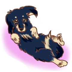 Daily life of a cello