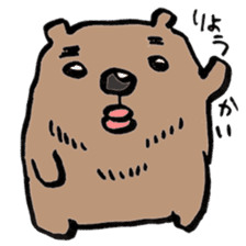 working bear`kumao` sticker #13849467
