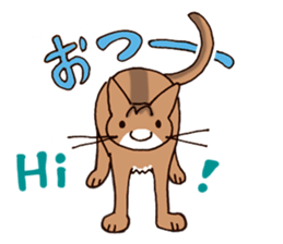 Kogeta the aby cat3 simple ver. sticker #13849617