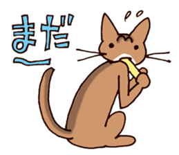 Kogeta the aby cat3 simple ver. sticker #13849627