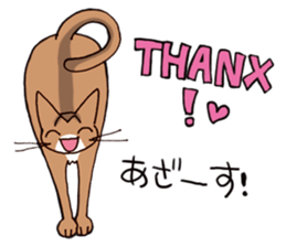 Kogeta the aby cat3 simple ver. sticker #13849634