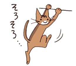 Kogeta the aby cat3 simple ver. sticker #13849652