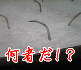 Twilight landscape sticker #13850301