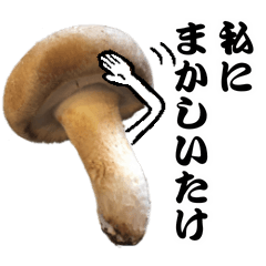 Mashroom sticker
